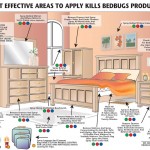 Where Are Bed Bugs Found?